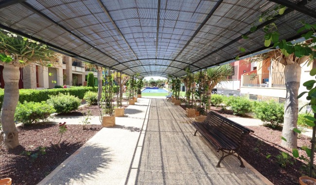 Segunda mano - Apartamento - Orihuela Costa - Cabo Roig