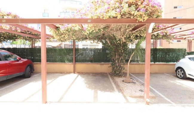 Segunda mano - Apartamento - Orihuela Costa - La Regia