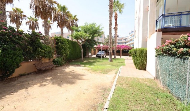 Segunda mano - Apartamento - Orihuela Costa - La Regia