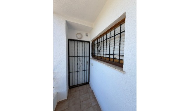 Segunda mano - Apartamento - Orihuela Costa - Punta Prima