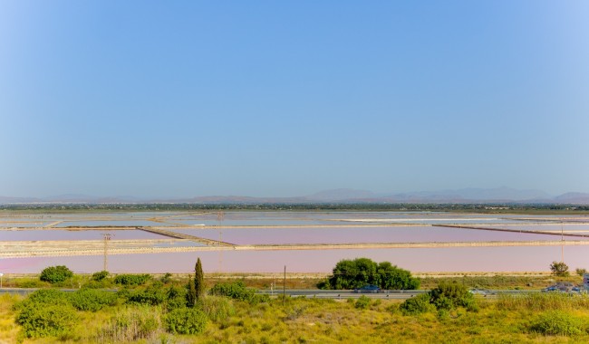 Resale - Apartment - Santa Pola - Tamarit