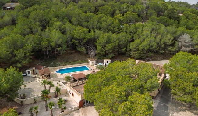 Resale - Finca - Torremendo