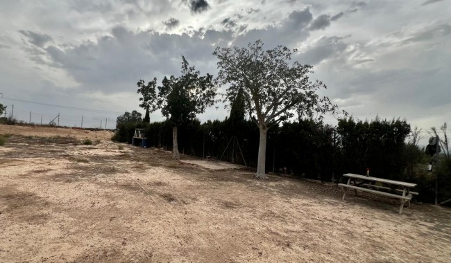 Sprzedaż - Finka - San Fulgencio - San Fulgencio - Country