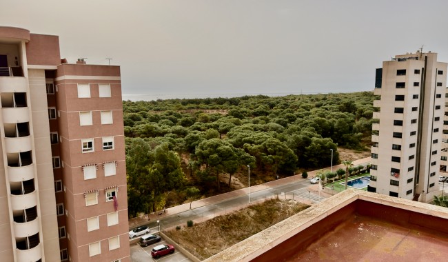 Segunda mano - Apartamento - Guardamar