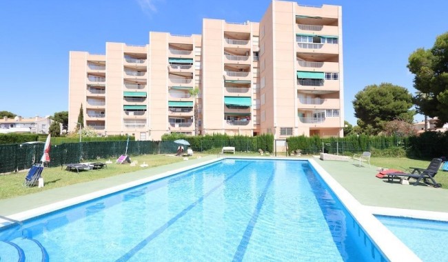 Apartamento - Segunda mano - Orihuela Costa - La Zenia