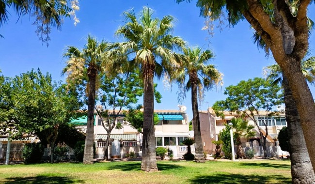 Brukt - Leilighet - Orihuela Costa - La Regia