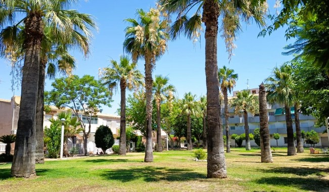 Brukt - Leilighet - Orihuela Costa - La Regia