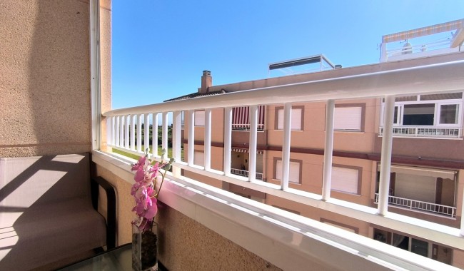 Segunda mano - Apartamento - Algorfa