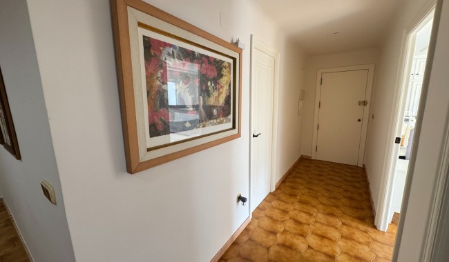 Segunda mano - Apartamento - Guardamar - Pueblo