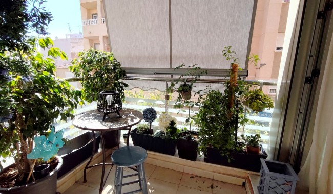 Resale - Apartment - Torrevieja
