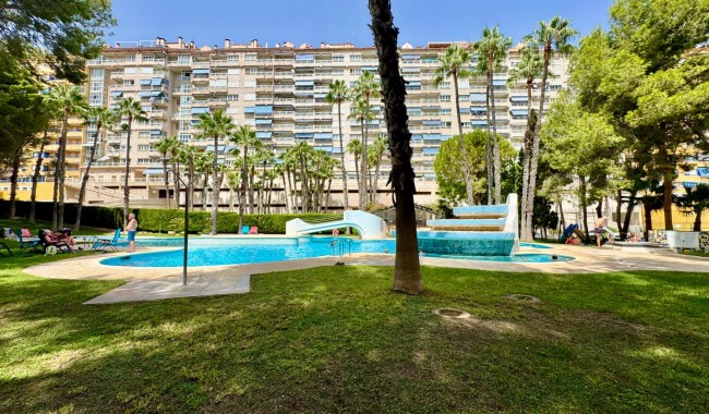 Segunda mano - Apartamento - Orihuela Costa - Altos de Campoamor