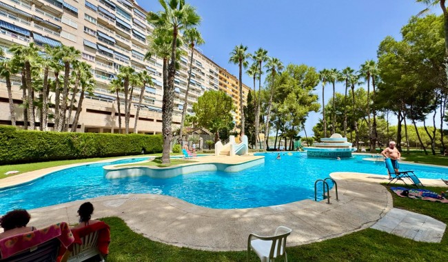 Segunda mano - Apartamento - Orihuela Costa - Altos de Campoamor