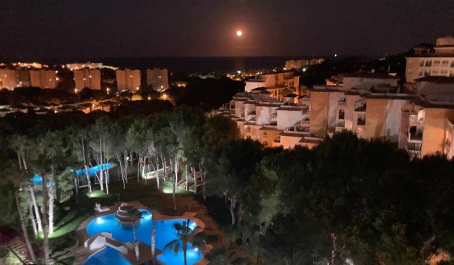 Segunda mano - Apartamento - Orihuela Costa - Altos de Campoamor