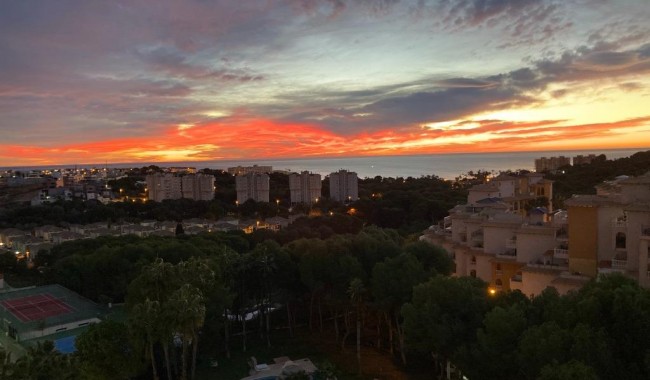 Segunda mano - Apartamento - Orihuela Costa - Altos de Campoamor