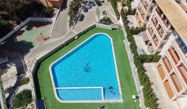 Sprzedaż - Apartament - Orihuela costa - Playa Flamenca
