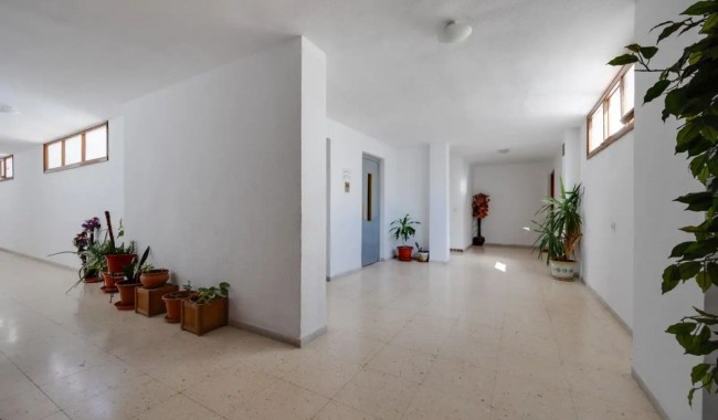 Sprzedaż - Apartament - Torrevieja - Torrevieja C