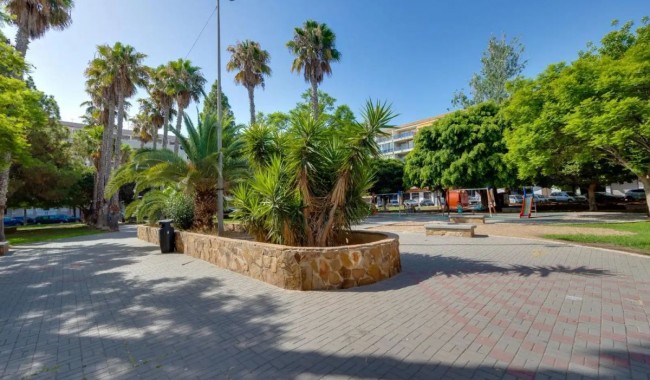 Sprzedaż - Apartament - Torrevieja - Torrevieja C