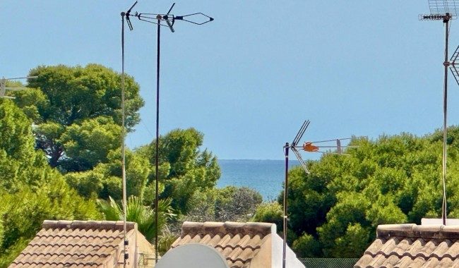 Sprzedaż - Apartament - Torrevieja - Punta prima