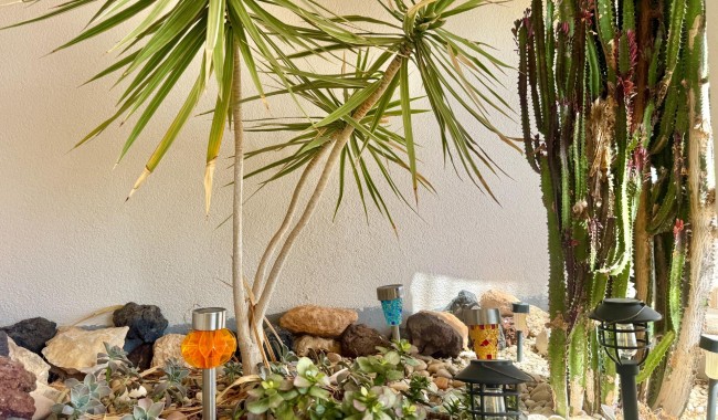 Sprzedaż - Apartament - Torrevieja - Punta prima