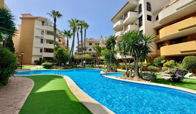 Sprzedaż - Apartament - Torrevieja - Punta prima