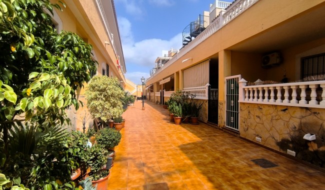 Begagnad - Lägenhet - Orihuela - Orihuela Costa