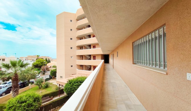 Segunda mano - Apartamento - Orihuela Costa - La Zenia