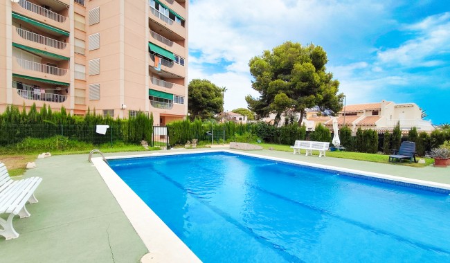 Segunda mano - Apartamento - Orihuela Costa - La Zenia