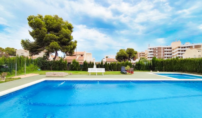 Segunda mano - Apartamento - Orihuela Costa - La Zenia