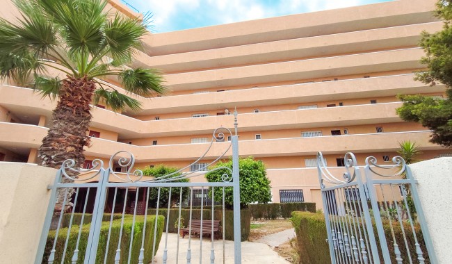 Segunda mano - Apartamento - Orihuela Costa - La Zenia