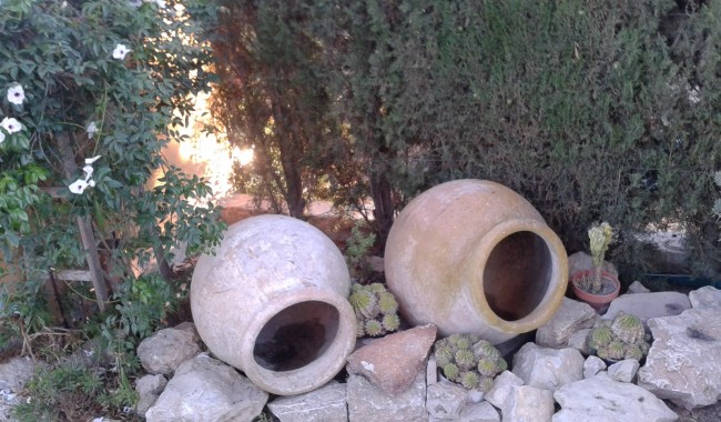Resale - Finca - Orihuela - Orihuela Costa