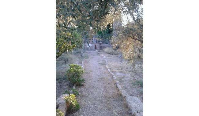 Resale - Finca - Orihuela - Orihuela Costa