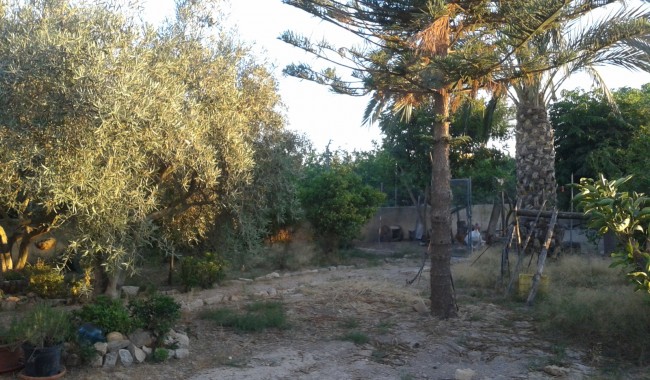 Resale - Finca - Orihuela - Orihuela Costa