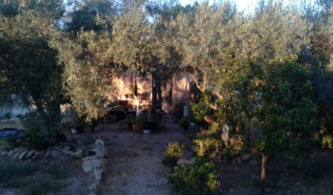Resale - Finca - Orihuela - Orihuela Costa