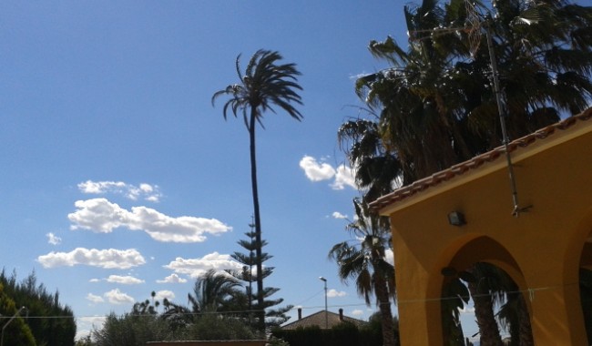 Resale - Finca - Orihuela - Orihuela Costa