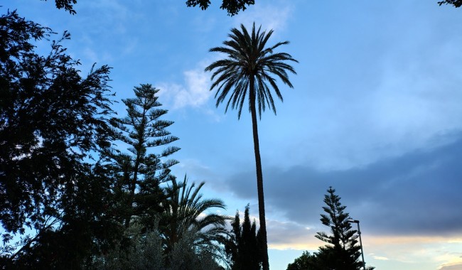 Resale - Finca - Orihuela - Orihuela Costa