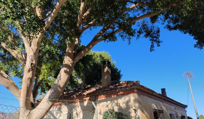 Resale - Finca - Orihuela - Orihuela Costa
