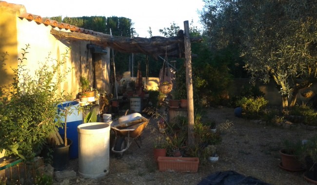 Resale - Finca - Orihuela - Orihuela Costa
