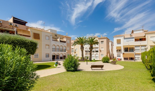 Begagnad - Lägenhet - Torrevieja - Playa de los Naufragos