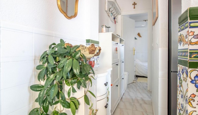 Brukt - Leilighet - Torrevieja - Los Frutales