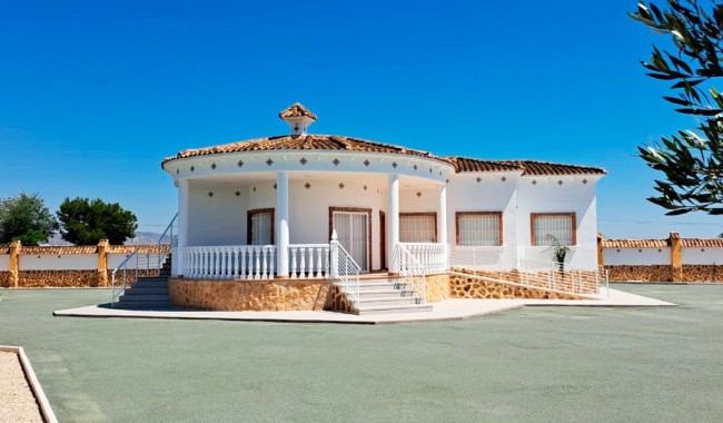 Finca - Brukt - Catral - Catral - Country