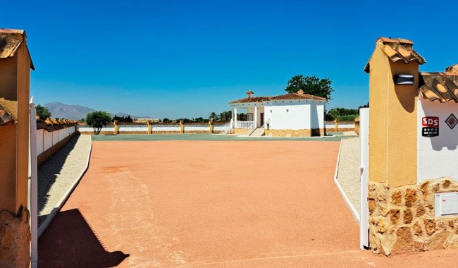 Brukt - Finca - Catral - Catral - Country