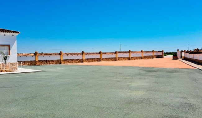 Brukt - Finca - Catral - Catral - Country