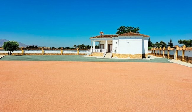 Brukt - Finca - Catral - Catral - Country