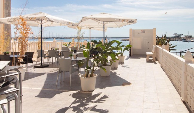 Begagnad - Lägenhet - Torrevieja - Acequion