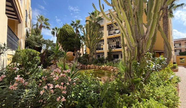 Resale - Apartment - Torrevieja - Playa de los locos