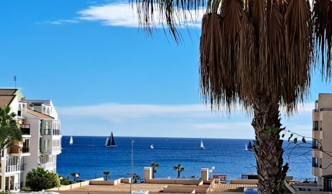 Begagnad - Lägenhet - Torrevieja - La Veleta