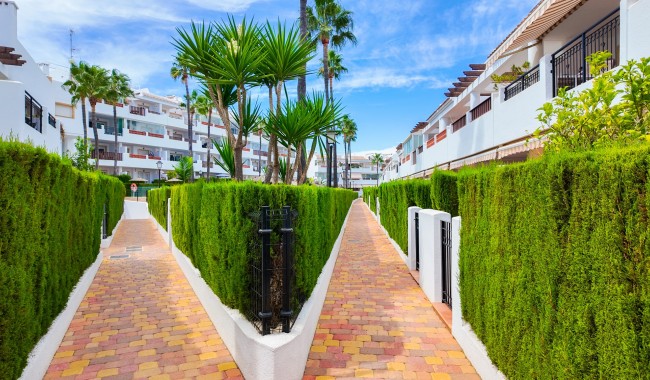 Resale - Apartment - Orihuela Costa - Villamartín