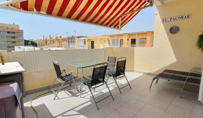 Brukt - Leilighet - La Mata, Torrevieja - La Mata