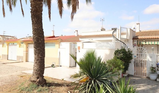 Begagnad - Lägenhet - Torrevieja - Torreta florida