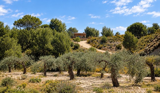 Brukt - Villa - Murcia - Costa Blanca Sur